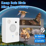 6165dd0e16bdb36fda89e0dfe22c6a4e